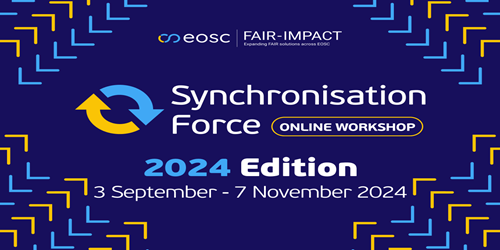 Synchronisation Force workshop series - 2024 edition